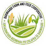 Barwaaqofarm